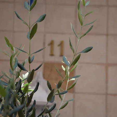 Civico 11 * Mola di Bari